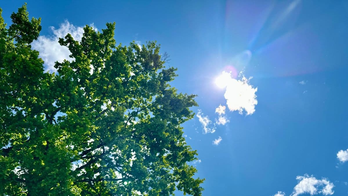 Ilyen lesz az időjárás Győr és térségében hétfőn, íme a részletes előrejelzés
