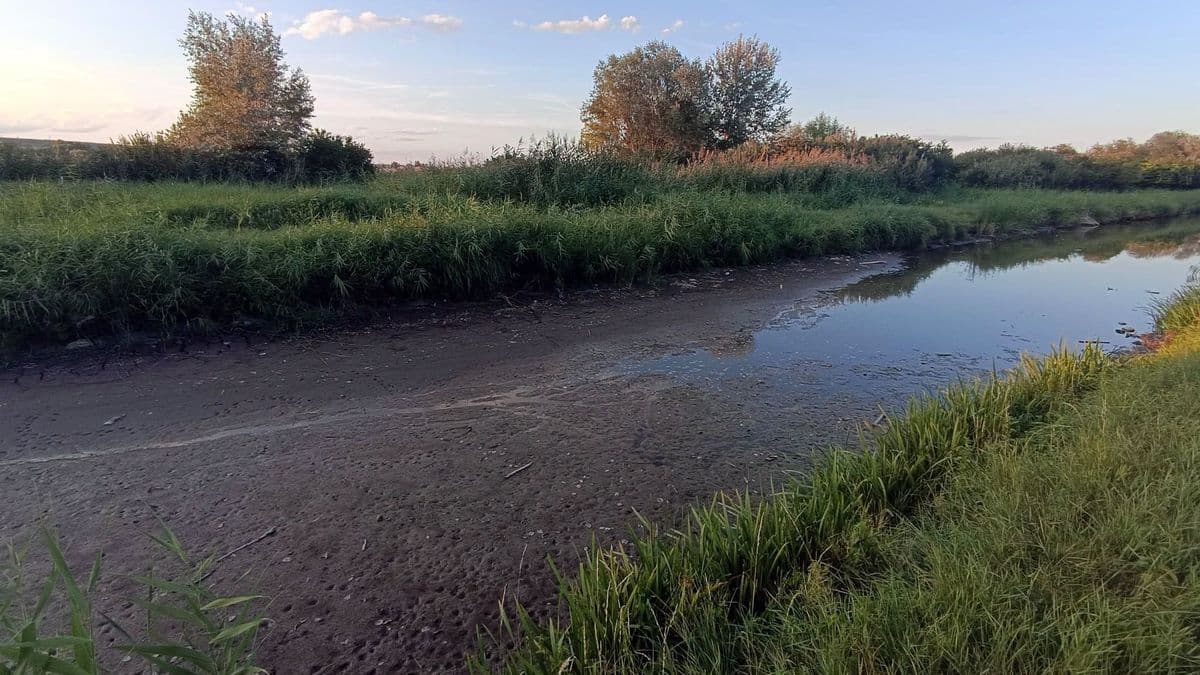 Kiszáradt a Fertő egyik vízfolyása