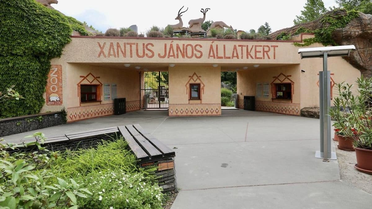 Lakossági fórumot tartanak a győri állatkert tervezett bővítéséről