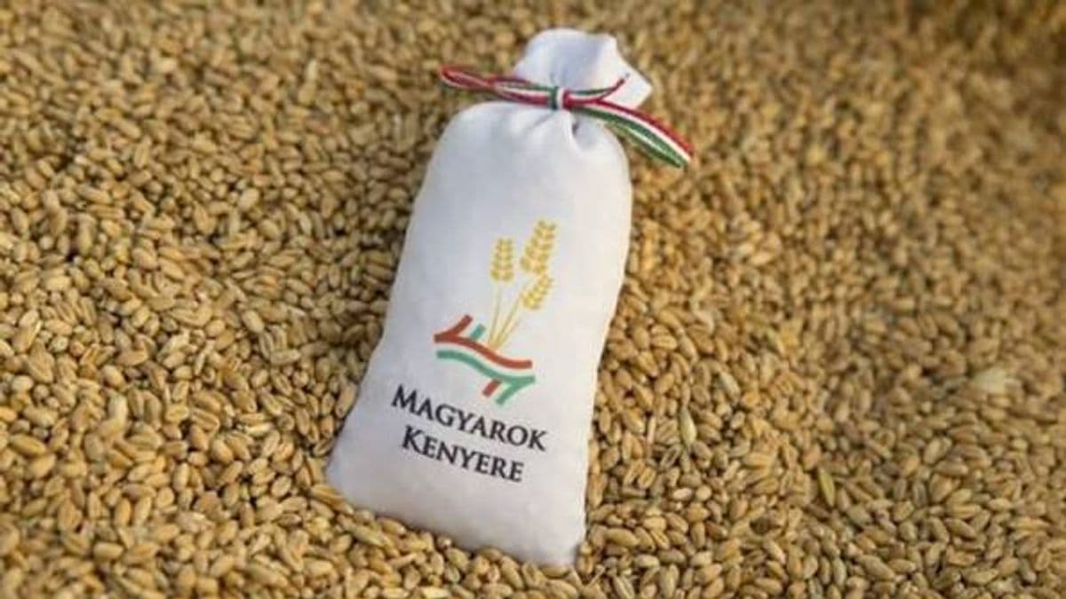 Magyarok kenyere program-Ökumenikus istentiszteleten adnak hálát az apátságban