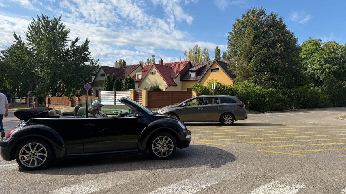 Körforgalom a Terv és a Gorkij utca kereszteződésében: a lakók megmentenék a kis ligetet - fotók