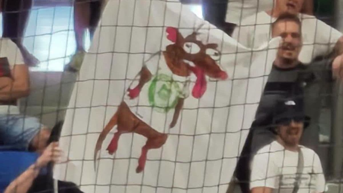 ETO kontra Fradi, azaz hogy jutunk el a patkánytól a békáig - véleménycikk