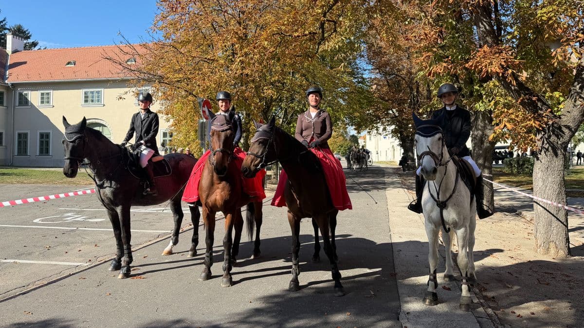 Valétálás: ma este fáklyák fénye világít Mosonmagyaróváron