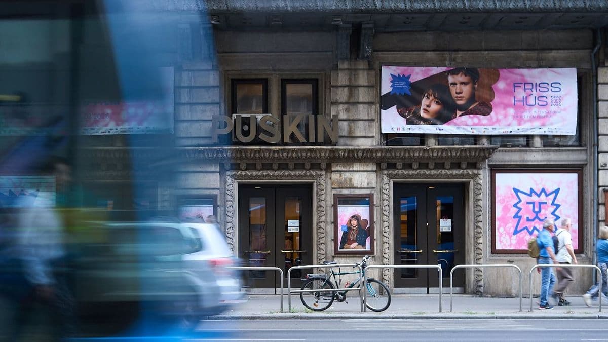Egyetlen magyar fesztiválnak sem sikerült az, ami a Friss Húsnak
