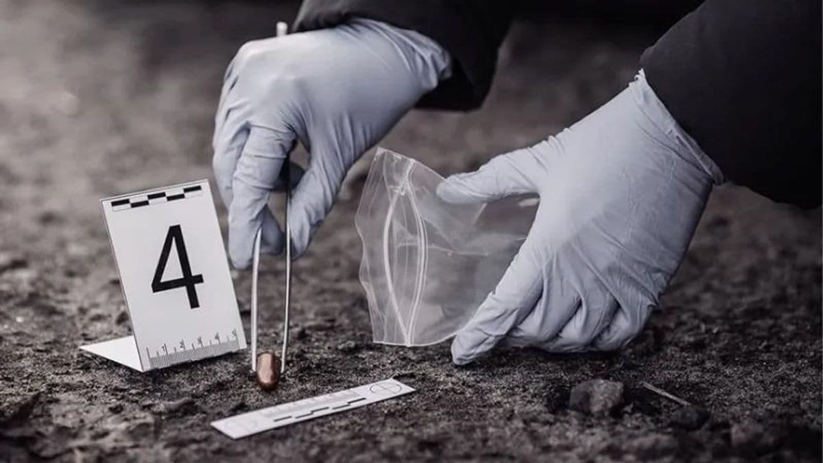 A magyarországi Hasfelmetsző Jack kilétére sohasem derült fény