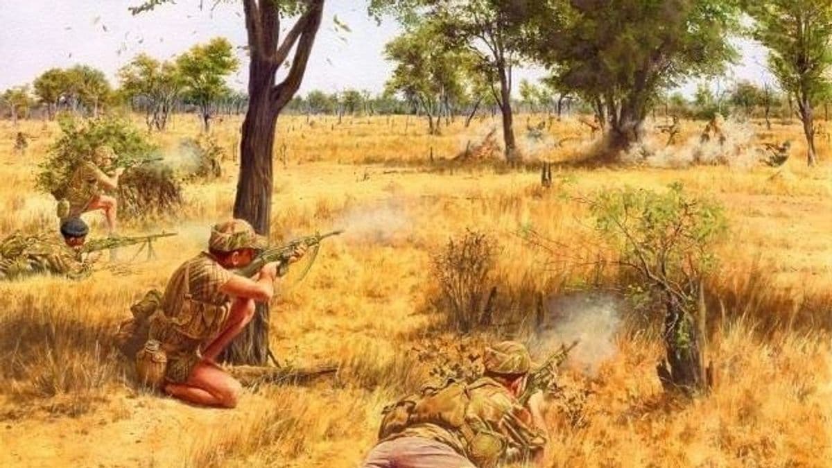 Mennyire ismeri Afrika egyik legkeményebb gerillaháborúját, a rodéziai bozótháborút?