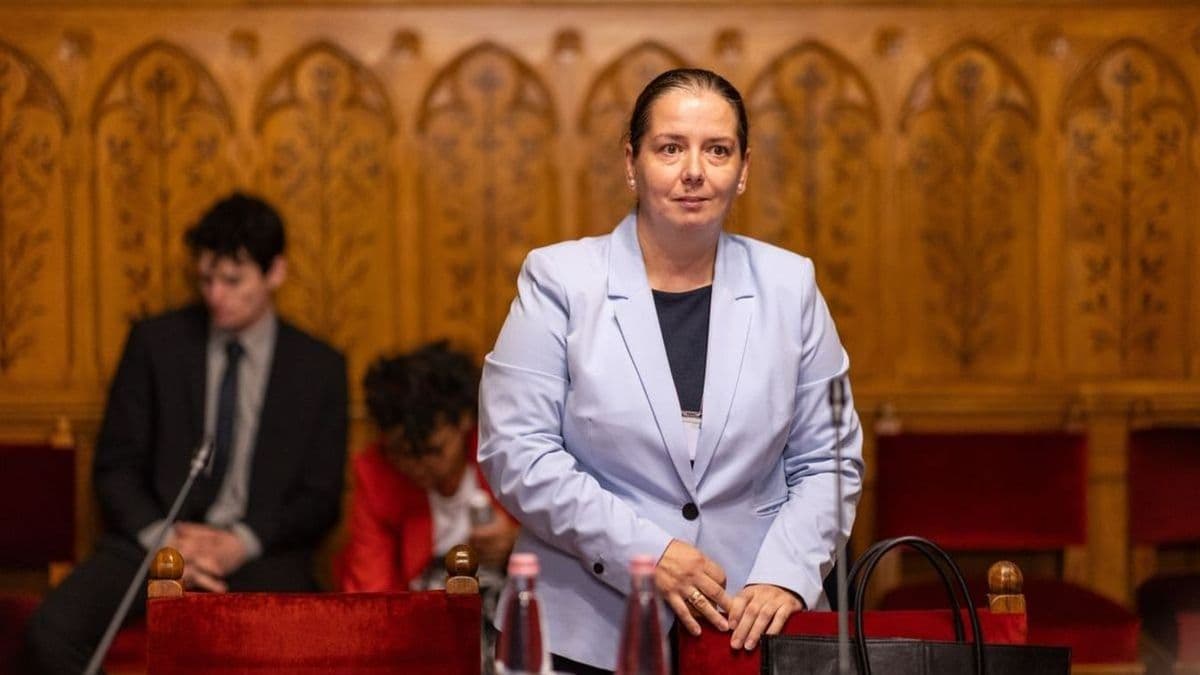 Ez gyors volt: ma már tüntetnek is a Tisza szavazói az NVVH megválasztott elnöke miatt