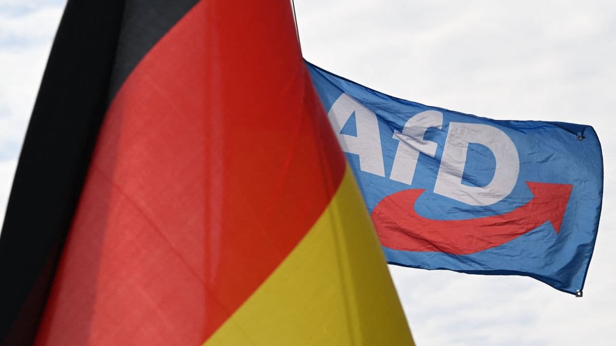 A tiltott gyümölcs – milyen esélyekkel indul az AfD?