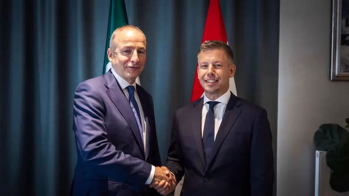 Magyar Péter nem akar brüsszelezést, de védett árat és vétót sem