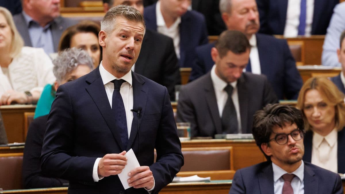 Sajátjai estek neki Magyar Péternek miután a franciaországi eseményekről posztolt