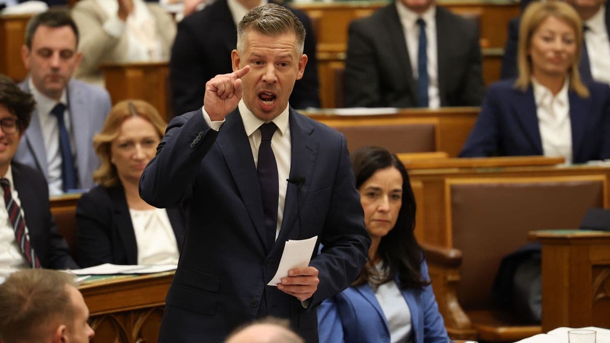 Megszavazta a parlament a vármegyék visszanevezését megyékre