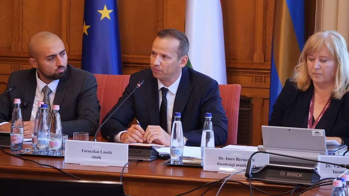 Varga Juditot, Navracsics Tibort is meghallgatná a Toroczkai László vezette bizottság, Dávid Ibolyától nyilatkozatot kérnek be