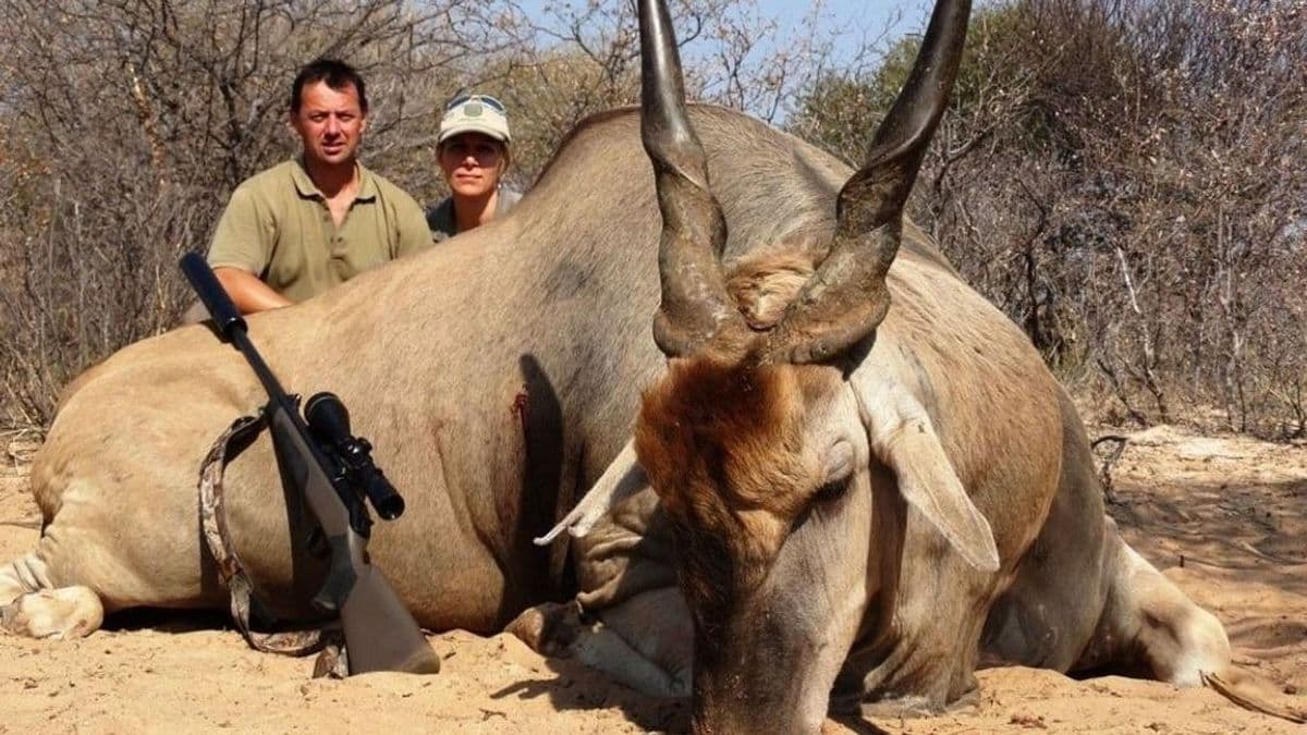 Egyelőre nem vesz részt az Országgyűlés munkájában az Afrikában vadászó tiszás képviselő