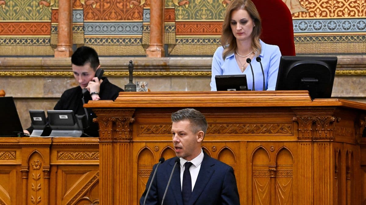 Hétfőtől Forsthoffer Ágnes az államfő