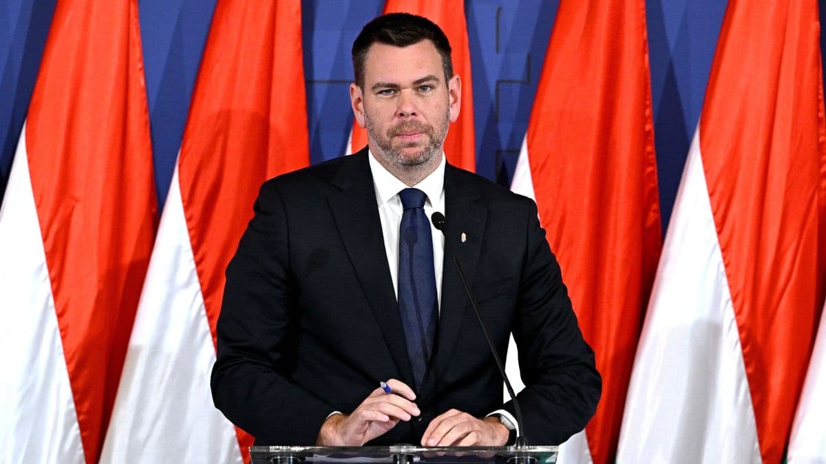 Uniós ügyészség: Vitézy Dávid nagyon érdekes dolgot mondott