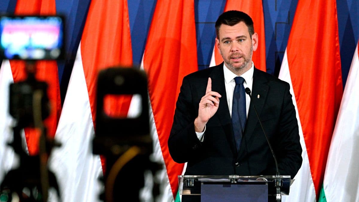 Augusztus 1-től tovább bővül a július elején bevezetett éjszakai agglomerációs közlekedés