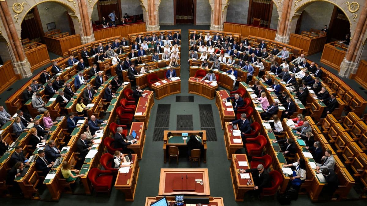 Nem az a közéleti teljesítmény, ha a politika kiszolgálja az aktuális őrjöngést
