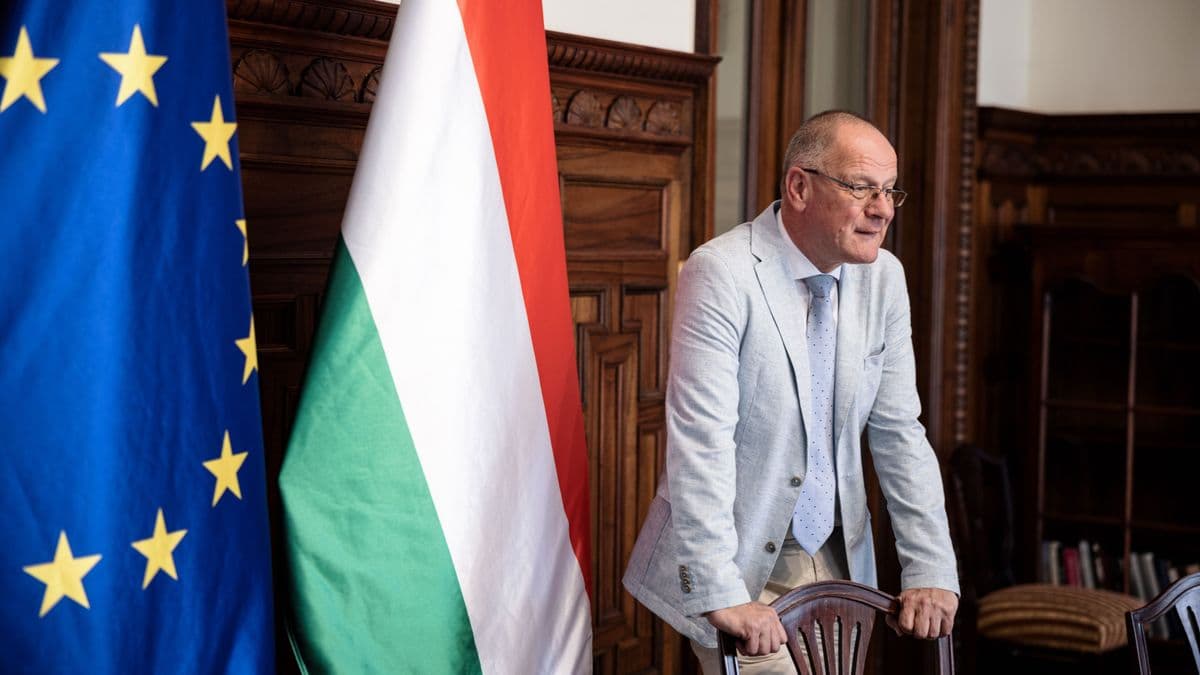 A polgármesterek védelmében kongatja a vészharangot Navracsics Tibor