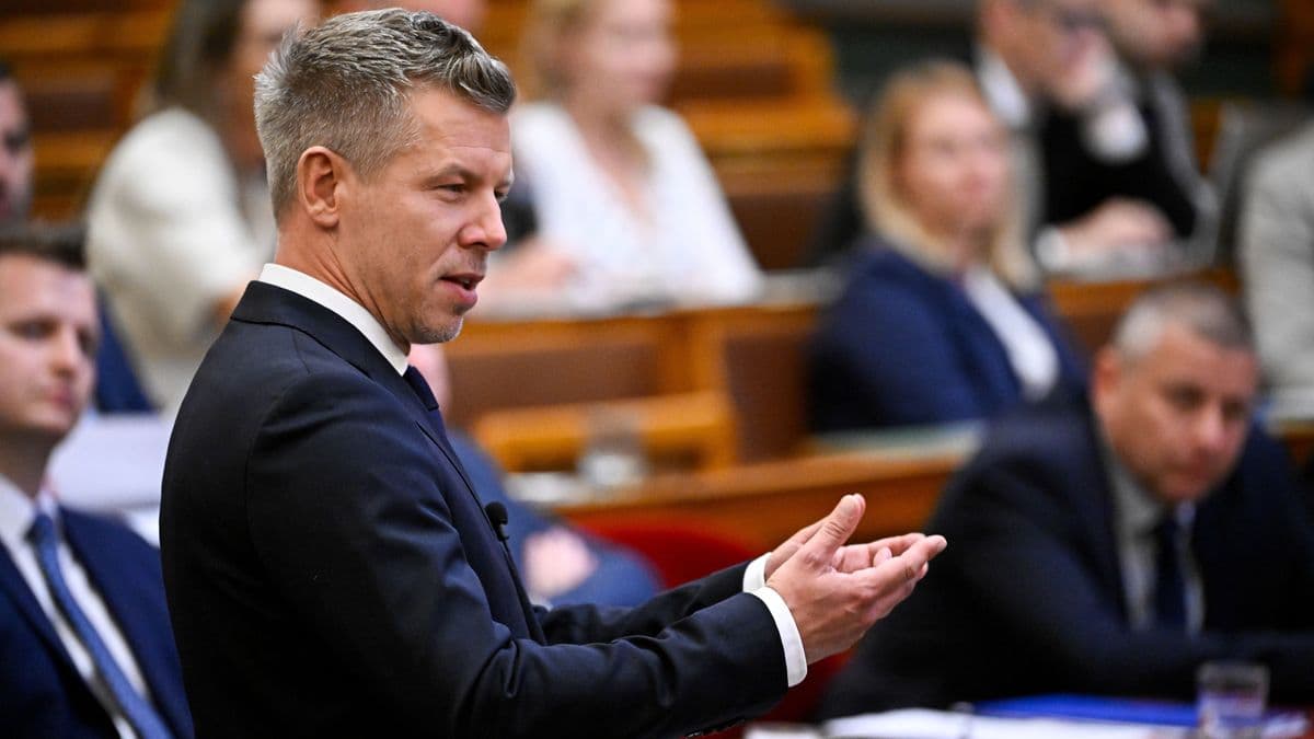 Soha nem köpünk le egy embert