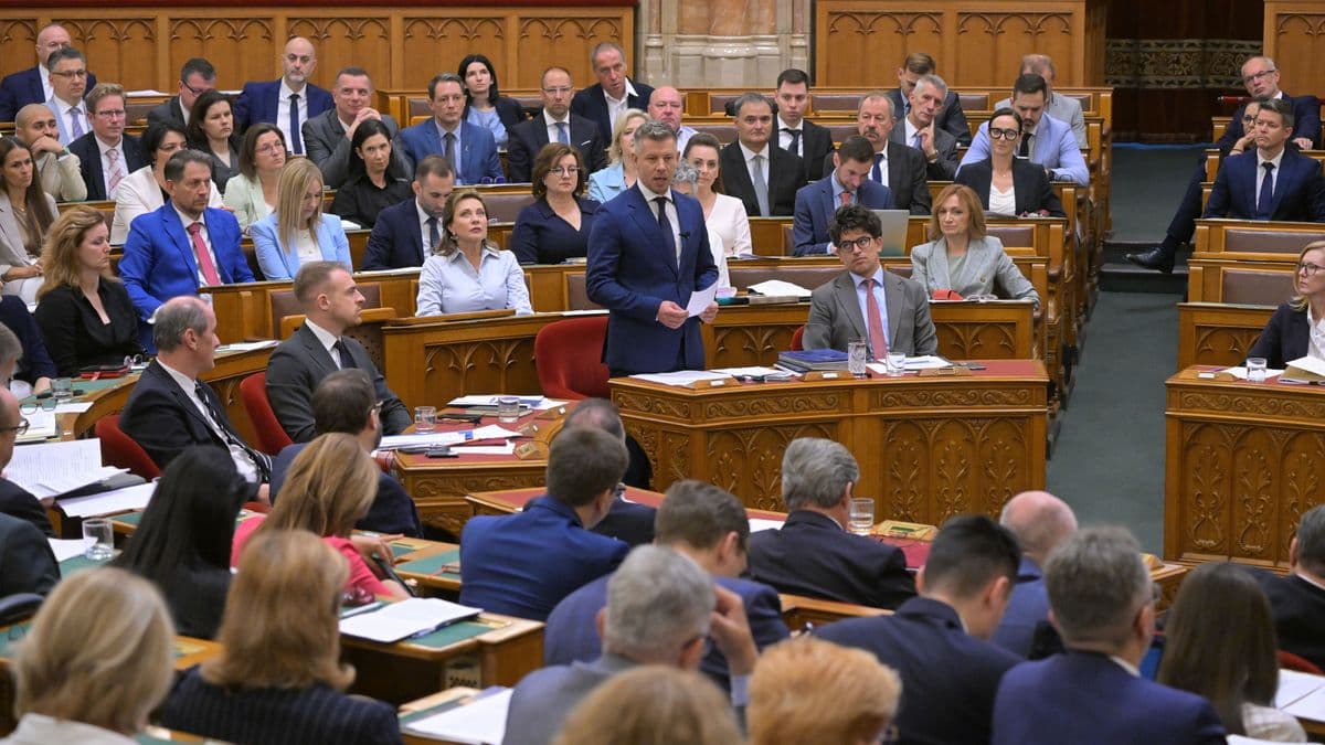 Magyar Péter bejelentést tett a paksi leállásról