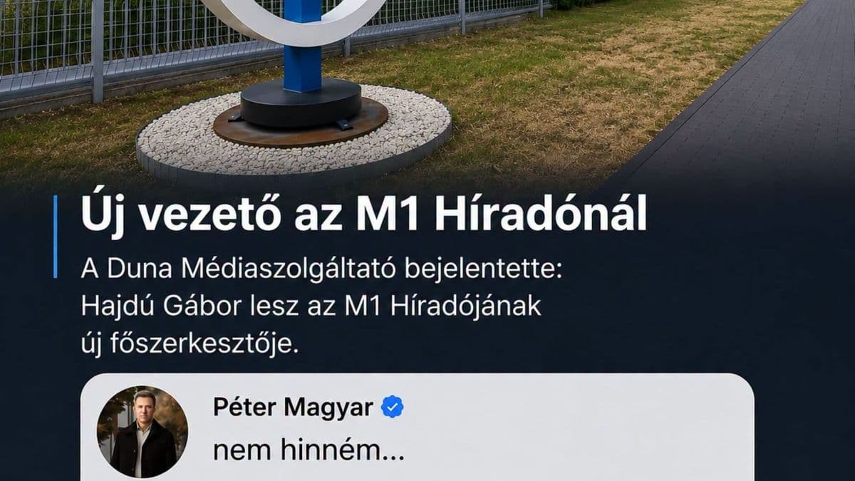 Egy demokratikus jogállam biztosan nem így működik