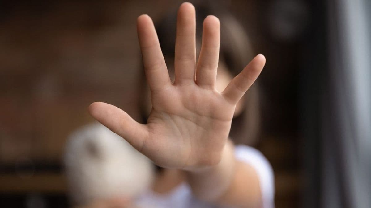 Agyonvert egy osztrák férfit egy 18 éves magyar „pedofilvadász”