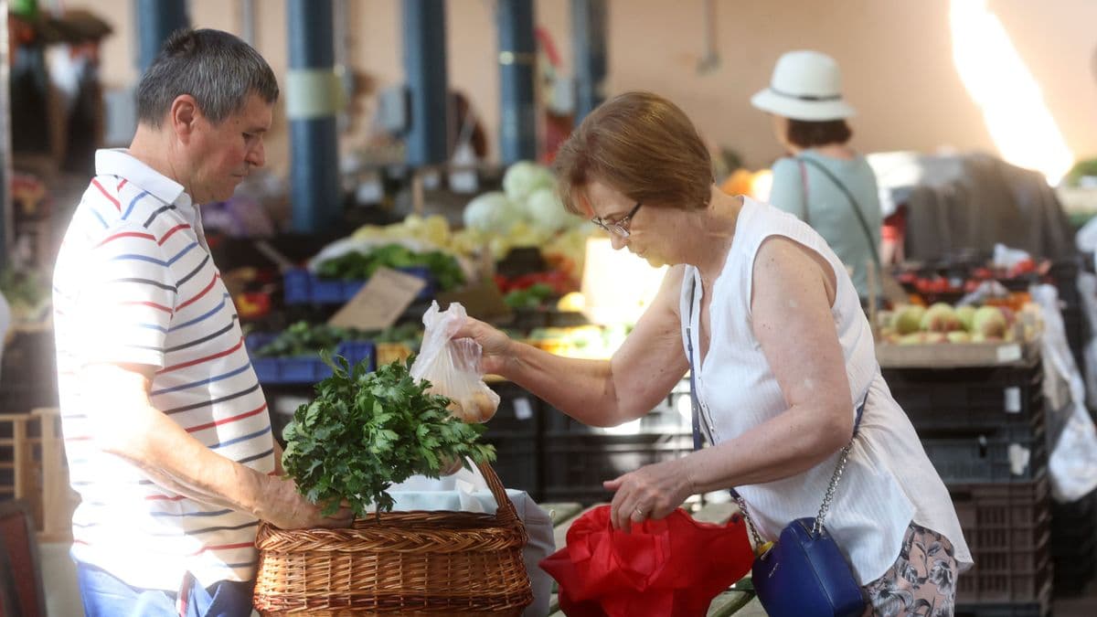 Megböki, leszúrja, kinyírja...– közelharcot vívnak minden egészséges dinnyért mielőtt piacra vinnék
