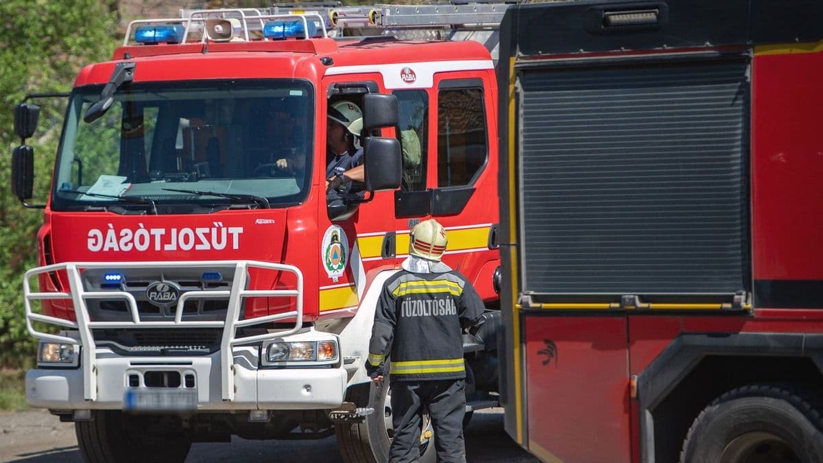 Árokba csapódott egy autó a 8-as főúton