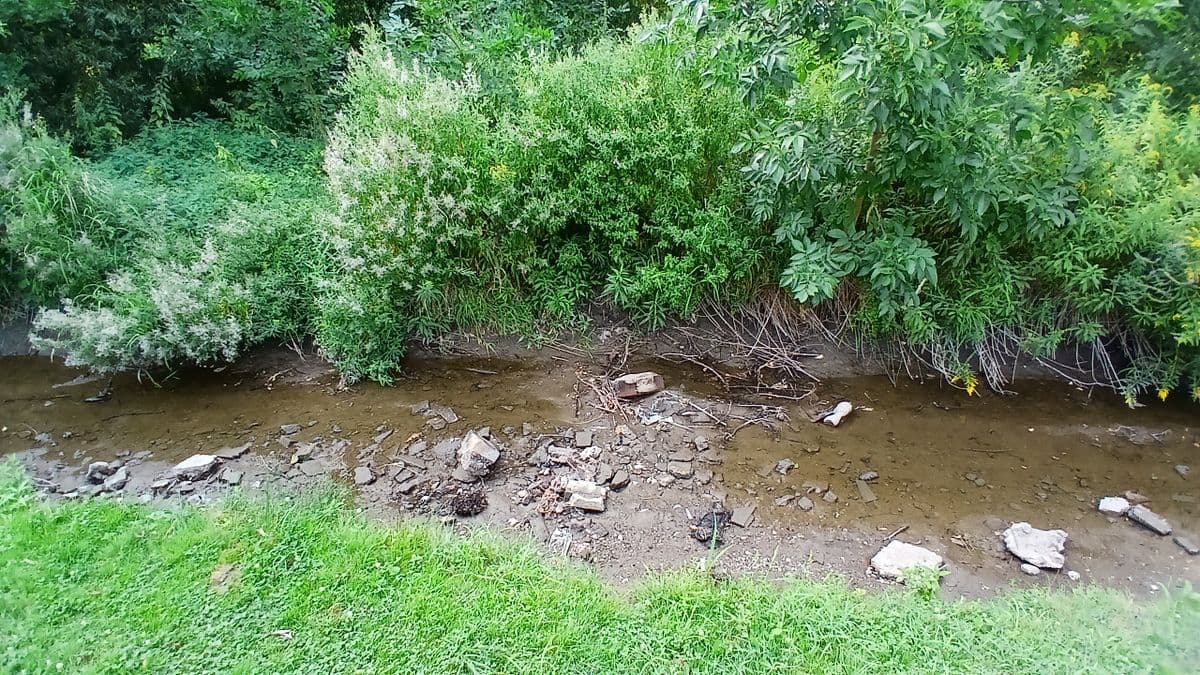 Miközben kiszárad a Gyöngyös, van, aki a gyepét locsolja belőle - fotók
