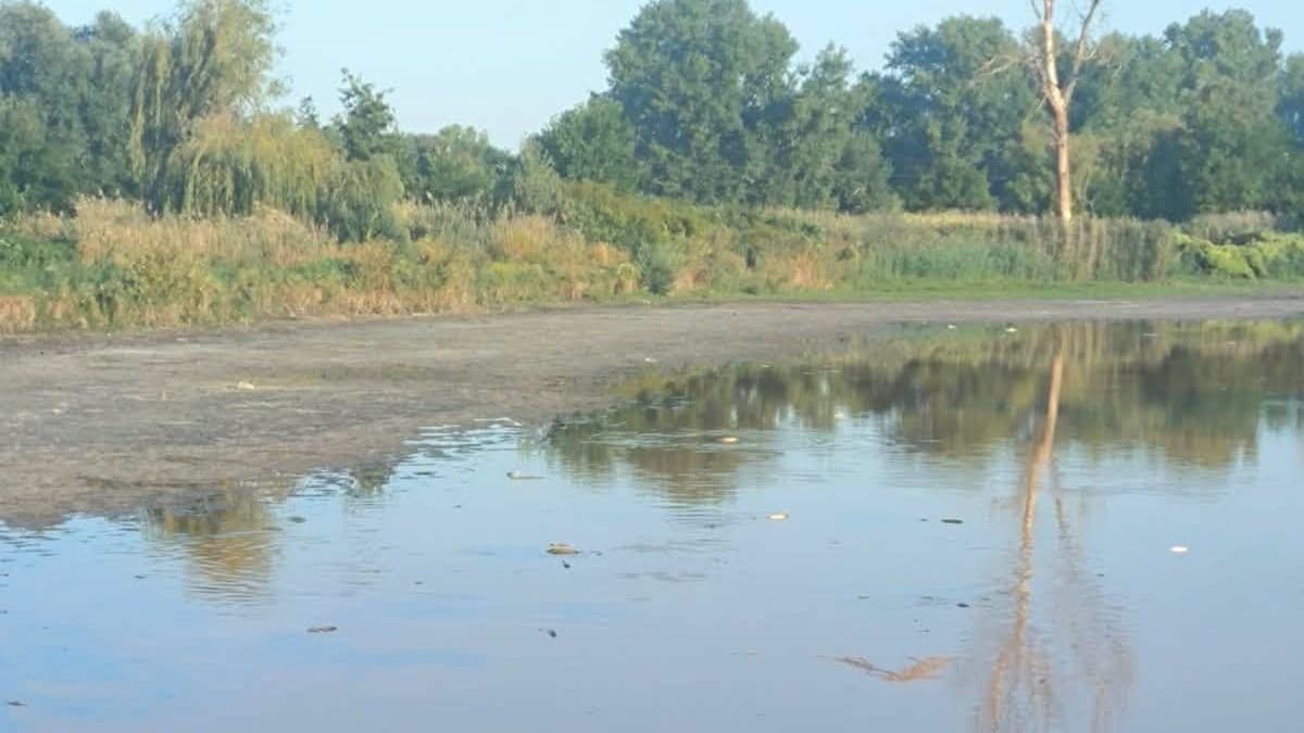 Kritikusan lecsökkent a vasi tó vízszintje, egy jelentős része ki is száradt