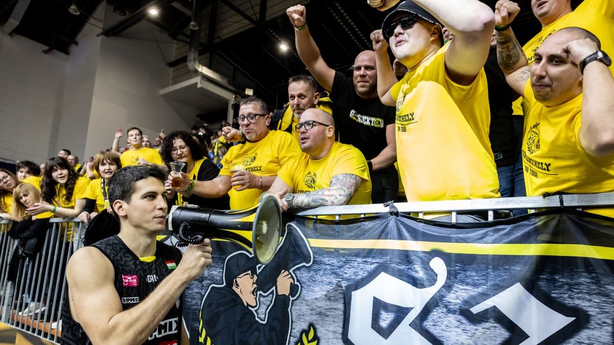 Falco KC: mozgalmas, izgalmas napok jönnek!