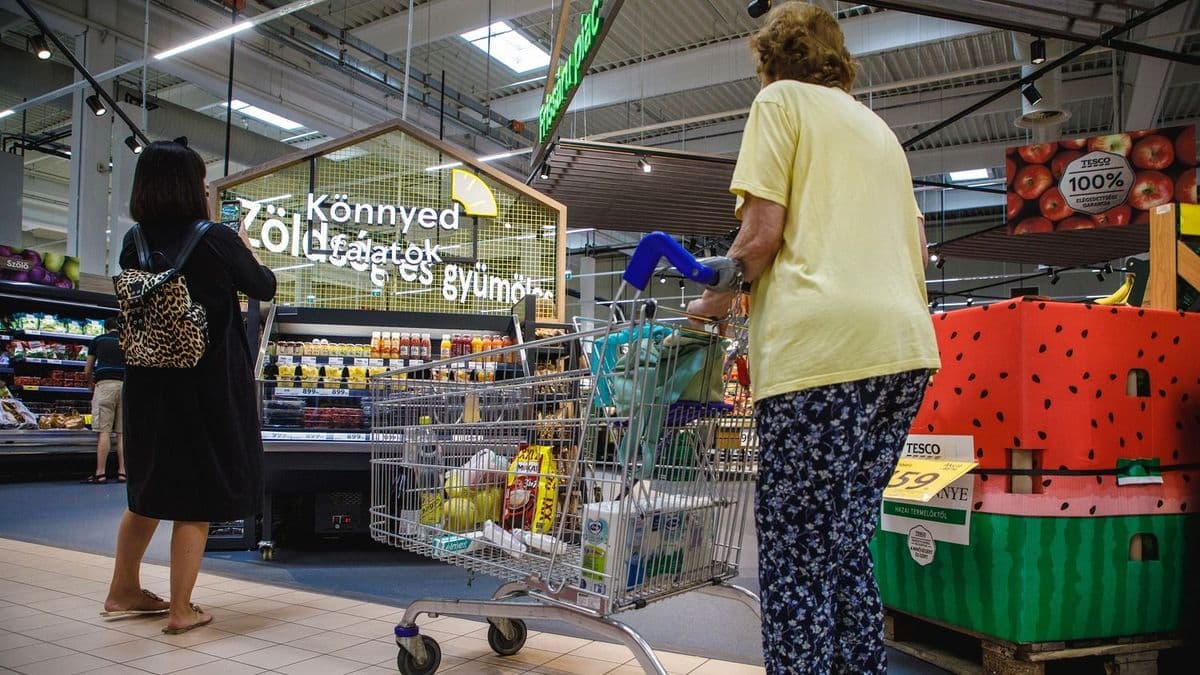 Milliárdos trendváltás a magyar Tescónál, a szemünk előtt zajlik a fordulat – a számok a Lidl-vezető szavait visszahangozzák, ebből nem lesz Kaufland se