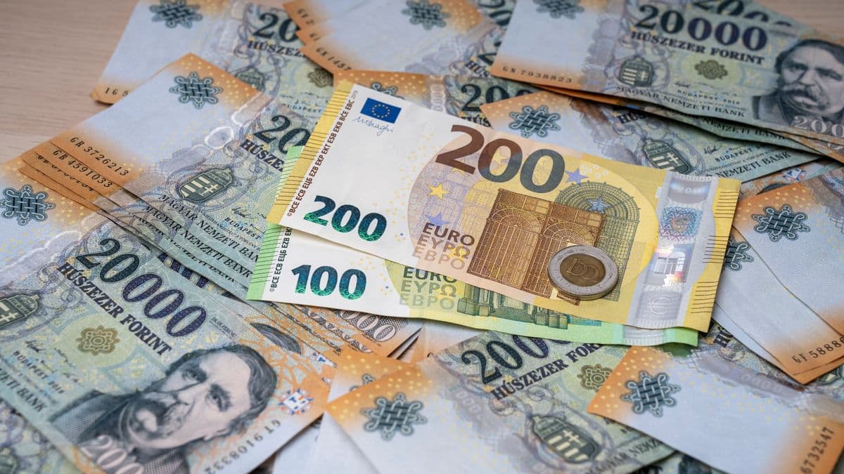 Megkapta az első hatalmas külföldi pofont Magyar Péter euróterve, ebből nagyon nagy baj lehet