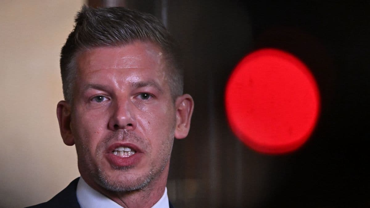 Magyar Péter: a lakosságnak villanyáramhoz kell jutnia, várjuk a cégektől az önkéntes lekapcsolási terveket - „szorozzák meg kettővel"