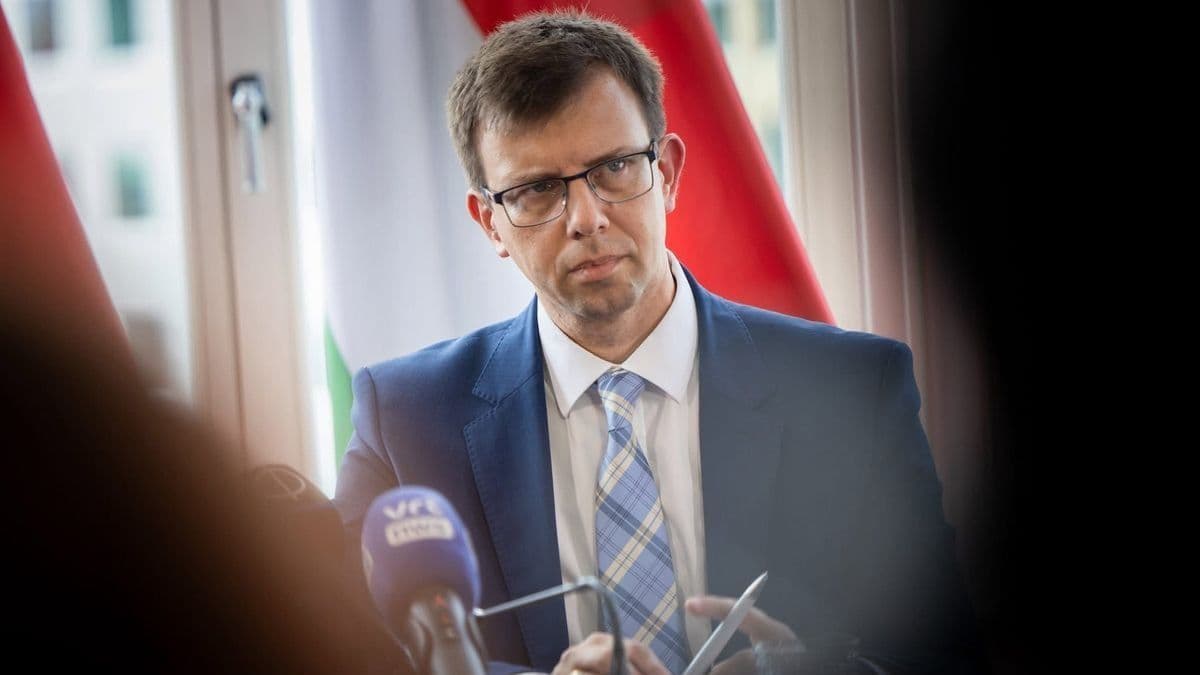Erre senki nem figyelt fel: Bóka János a brüsszeli lapnak árulta el, hogy dolgoznak a Fideszben Orbán Viktor visszatérésén – önkritikát gyakorolt az ellenzéki frakcióvezető