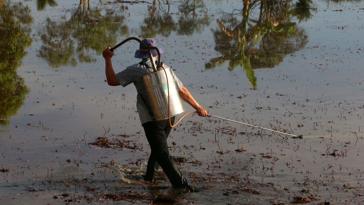 Sokkoló brüsszeli számítás: azonos szabályok mellett az agrárimport 41 százaléka is eltűnhetne – véletlenül kimutatták az uniós gazdák versenyhátrányát