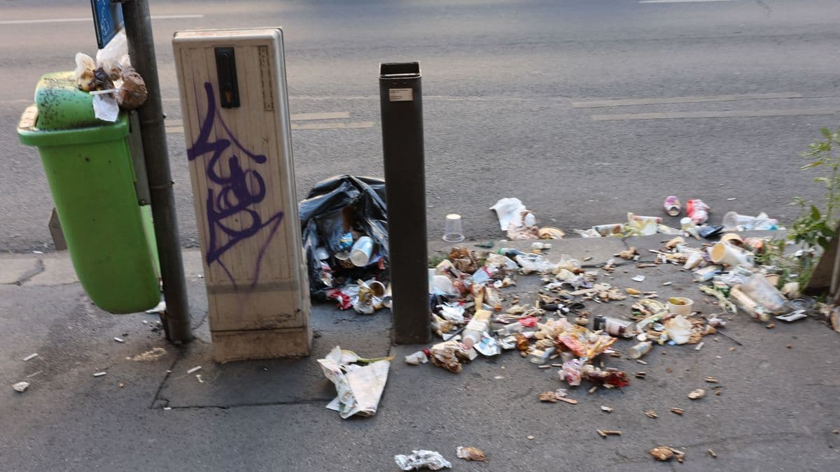 Kiborogatják a kukákat, behatolnak a társasházakba – kibukott a polgármester, össztűz alatt a palackvisszaváltás és a Mohu