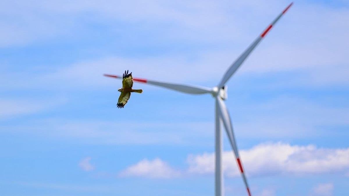 A szemünk előtt jön létre egy energetikai óriás Magyarországon – hacsak a Tisza-kormány meg nem fúrja
