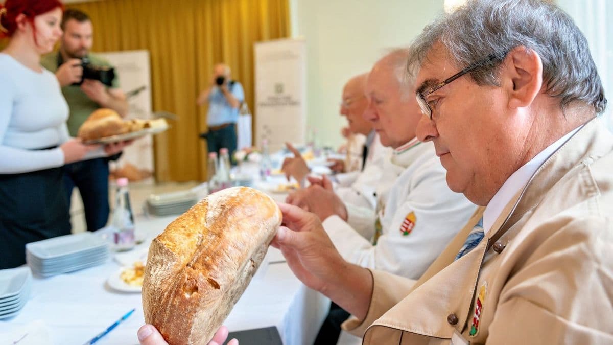 Az ország legjobb kenyereit sütnéd? Itt a lehetőség