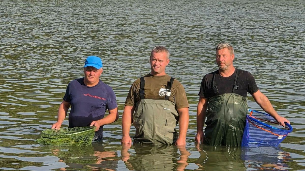 Két országos bajnokság is a nagykanizsai Csónakázó-tónál
