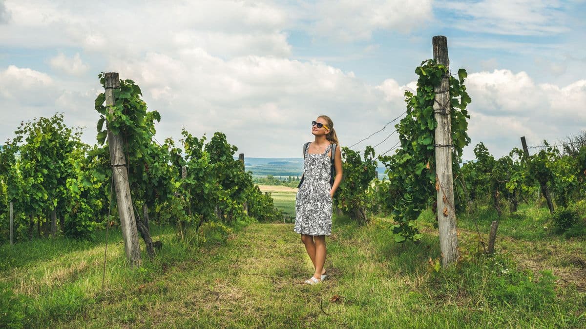 A hőség átírta a balatoni nyarakat, Zalában is új szokások terjednek
