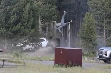 Megszólalt a férfi, akit bölény öklelt fel a Yellowstone parkban