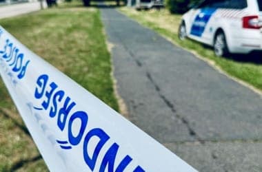 Zarándokokat szállító lengyel busz ütközött egy magyar teherautóval, miután elgázolt egy elkóborolt juhot