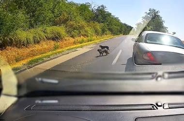 Egy pillanat alatt megtörtént a baj, mert nem tartotta a követési távolságot – videó
