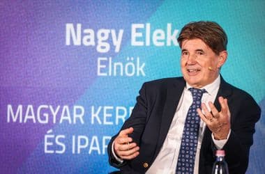 Nagy Elek felmentette az MKIK Tőkealap-kezelő vezetőjét, átvilágítás jön