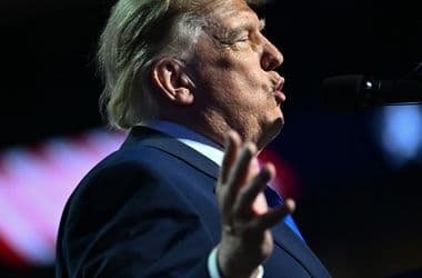 1,5 millió forintnak megfelelő dollárt ígért minden amerikainak Trump, ha győznek