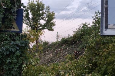 Vitézy Dávid úgy felhúzta magát a MÁV fakivágásán, hogy főtájépítészt keres a vasúthoz