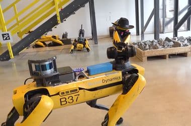 Robotkutyákat vásárolna az amerikai bevándorlási hivatal