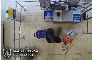 900 ezer forint pénzbüntetést kap a terpesi polgármester, aki legót lopott sárgarépa kódjával