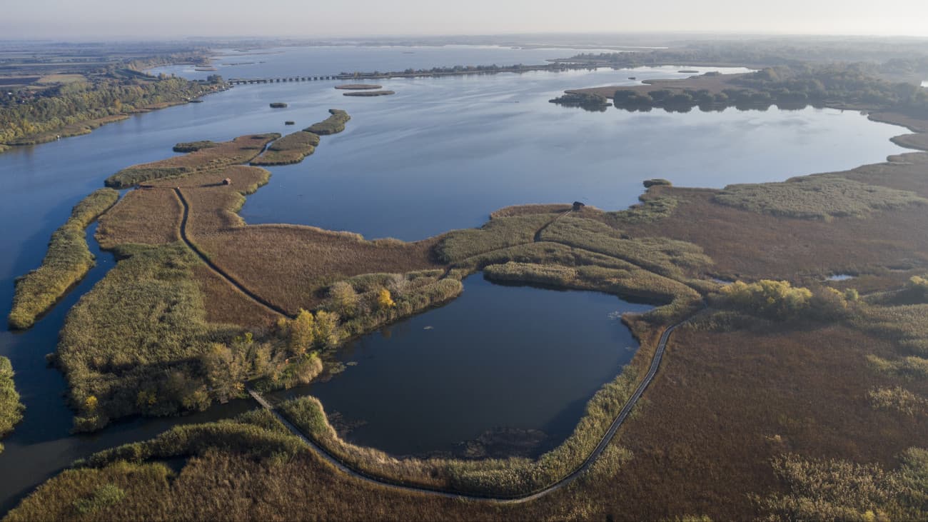 Bajban a Tisza-tó: kritikus szint alá is csökkenhet a vízállás